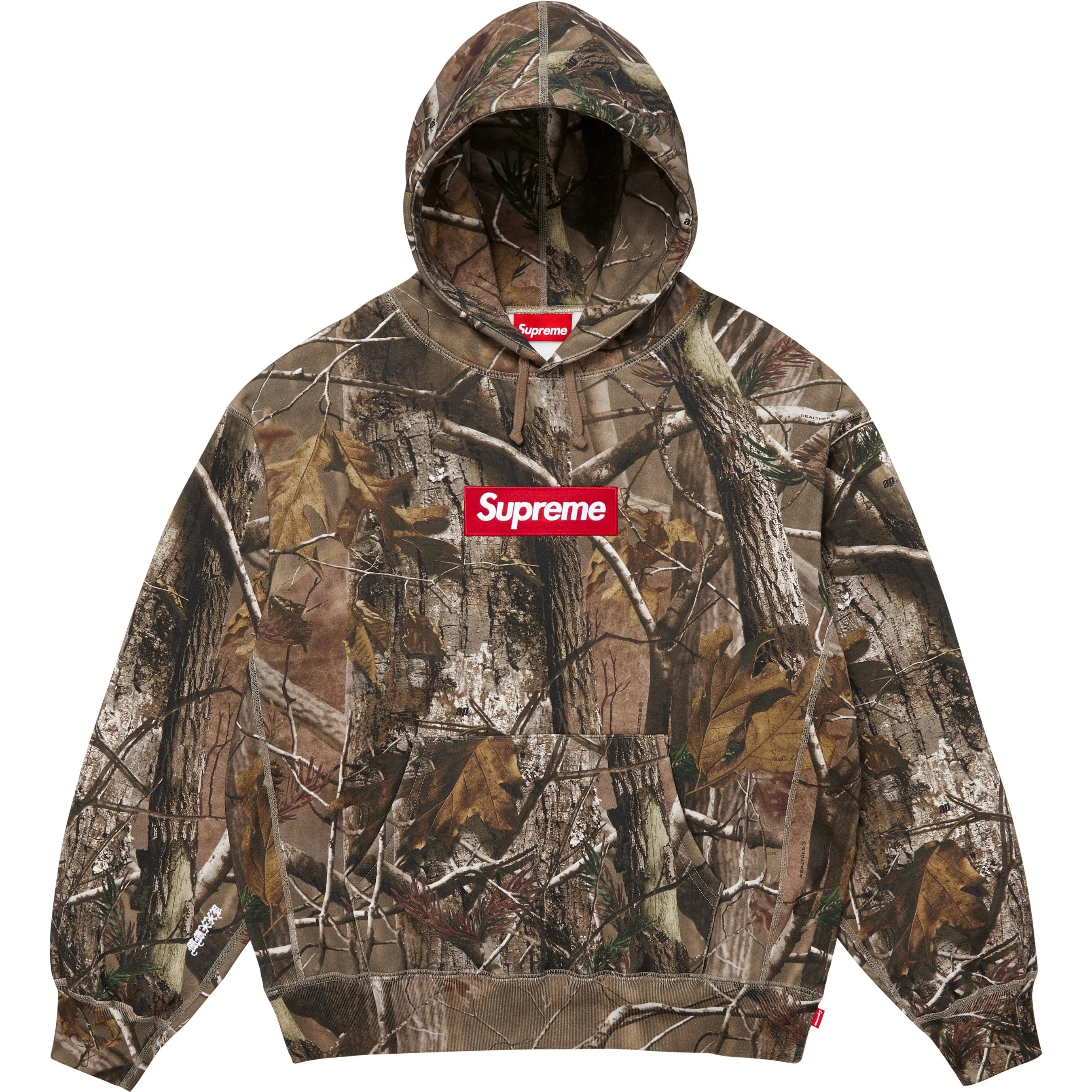 Box Logo Hooded Sweatshirt view 12